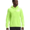 'The North Face' Men's Box NSE Pullover Hoodie - Sharp Green -The Outdoor Clothing Shop NF0A4761 HDD back 1024x1024@2x